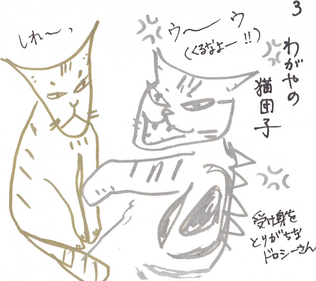 tomdoro_0110-10