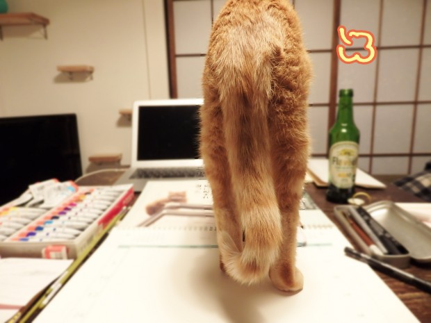 tomdoro_0110-7