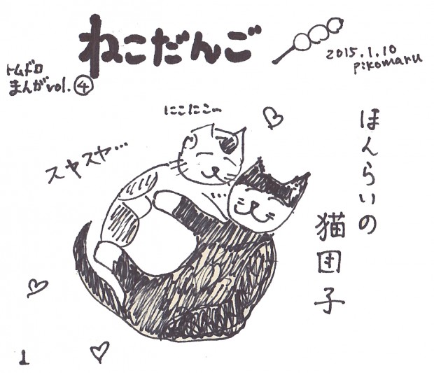 tomdoro_0110-8