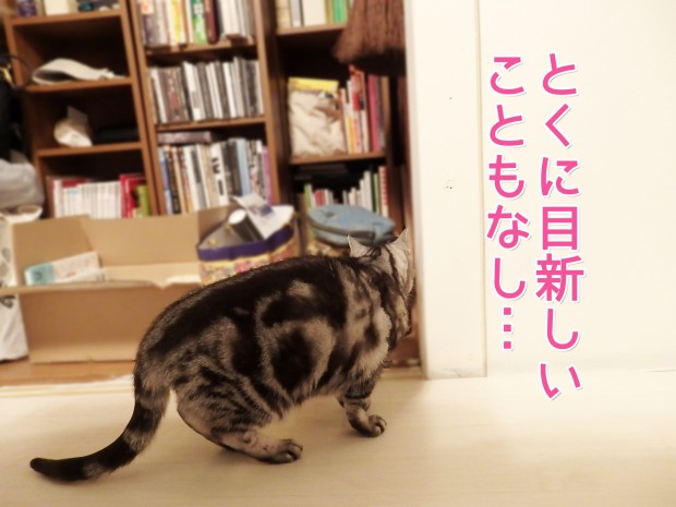 tomdoro_0116-7