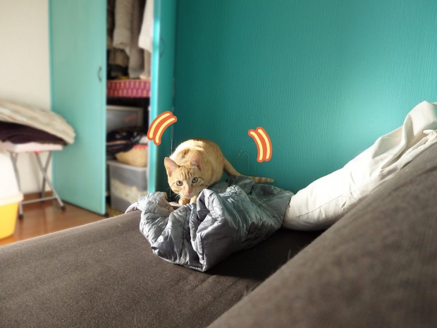 tomdoro_0116-9