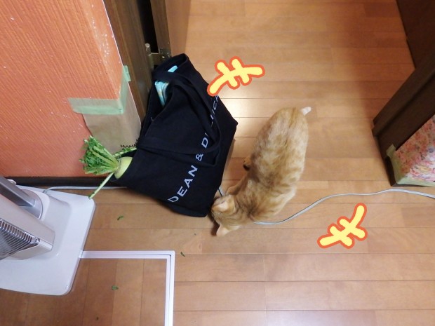 tomdoro_0117-6