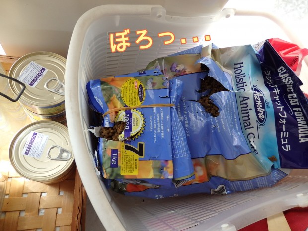 tomdoro_0301-6