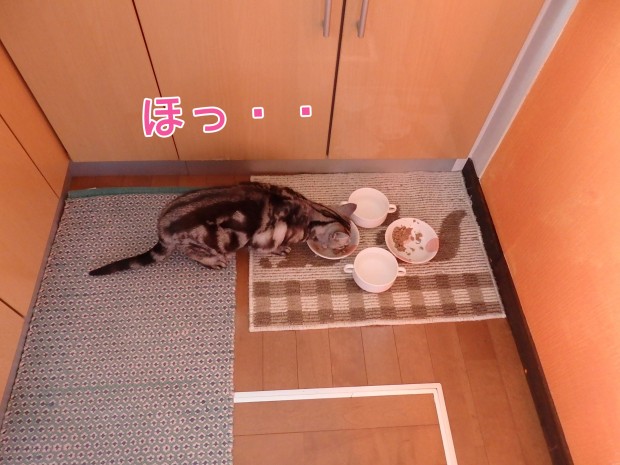 tomdoro_0313-5
