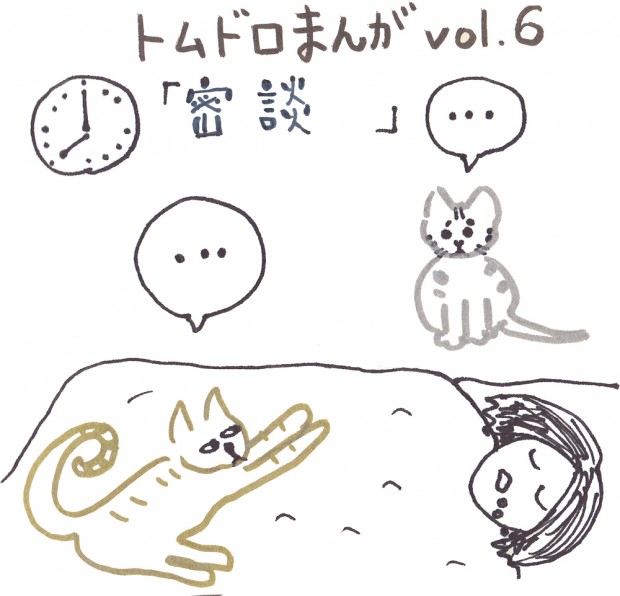 トムドロ　猫ブログ