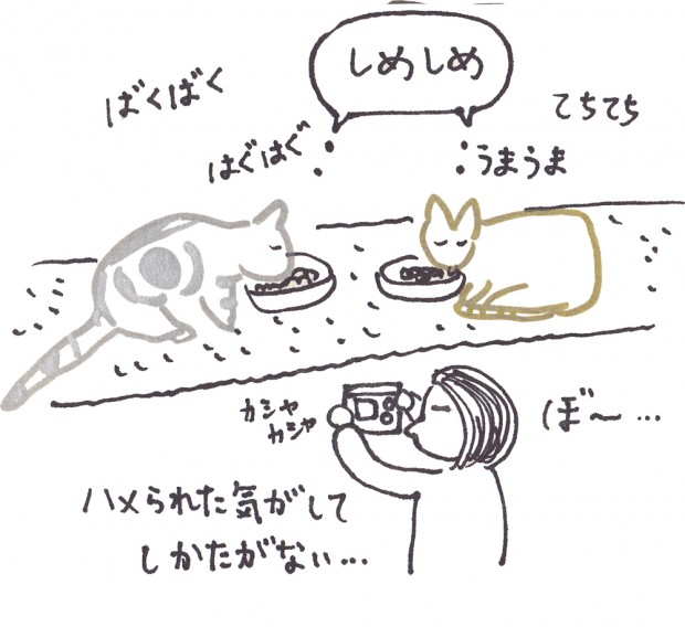 tomdoro_0321-4