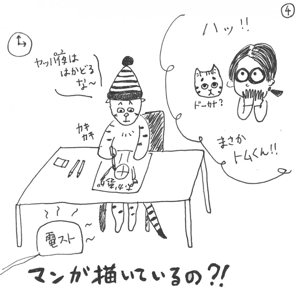 トムドロ　猫ブログ