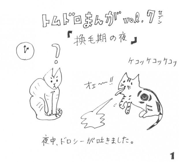 tomdoro_0404-2