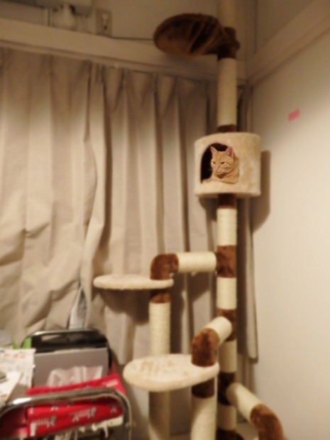 tomdoro_0407-3