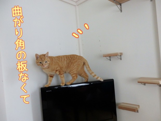 tomdoro_0410-9
