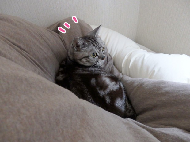 tomdoro_0415-2