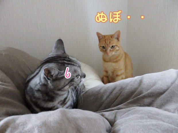 tomdoro_0415-3