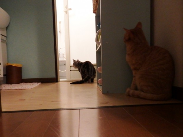 tomdoro_0417-5