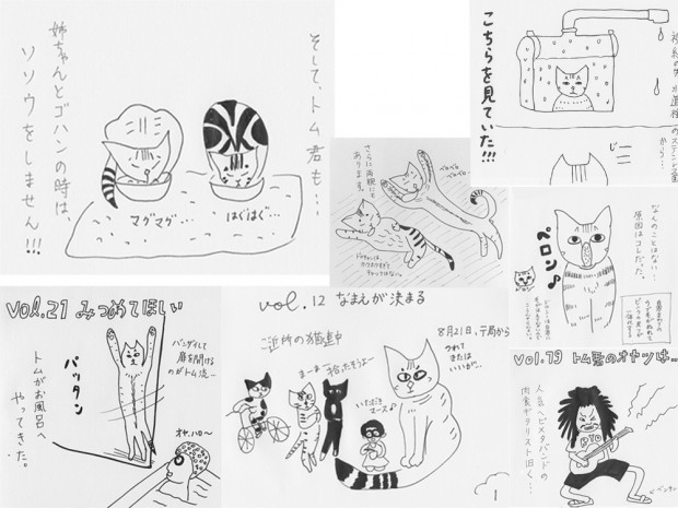 トムドロ　猫ブログ