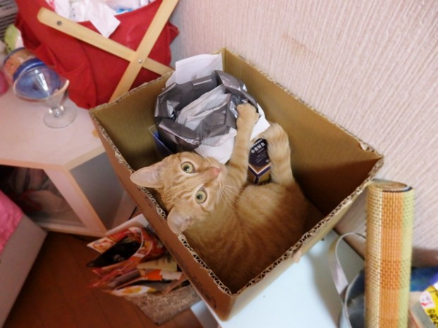 tomdoro_150425-7