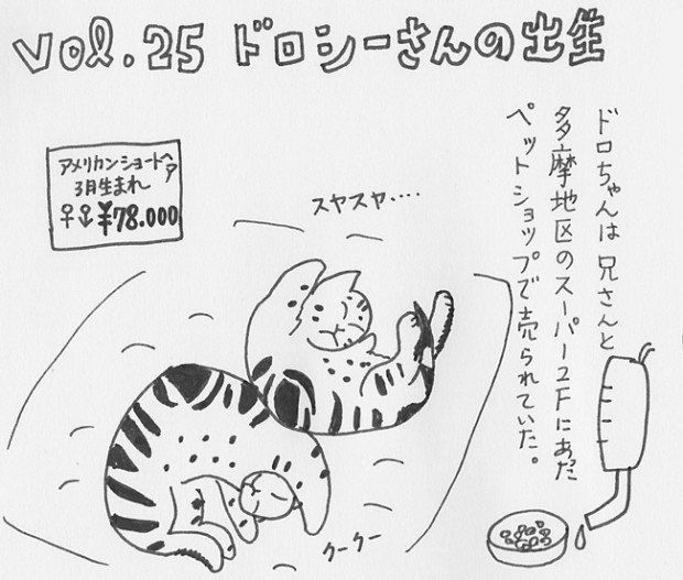 manga25_150501-1