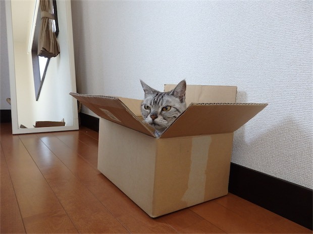 tomdoro_150502-02