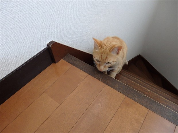 tomdoro_150502-06