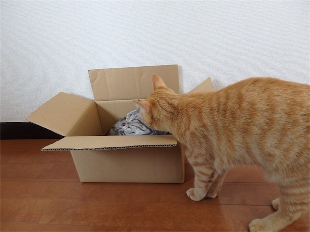 tomdoro_150502-08