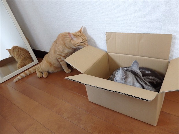 tomdoro_150502-13