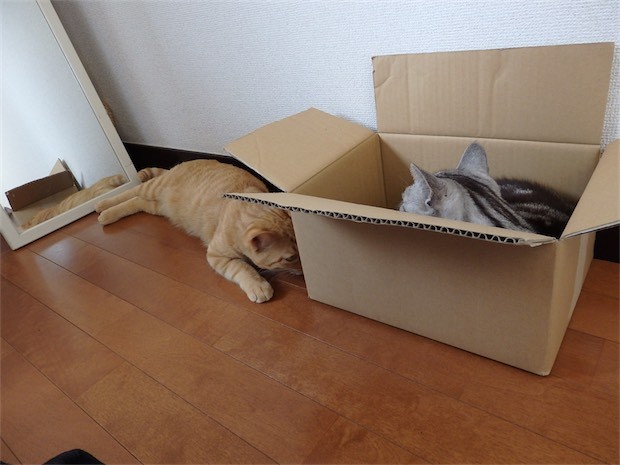 tomdoro_150502-14