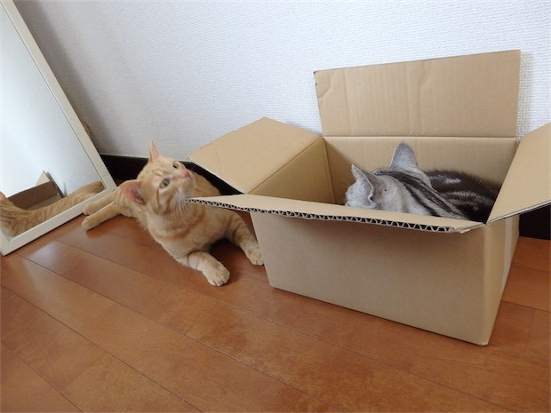 tomdoro_150502-15