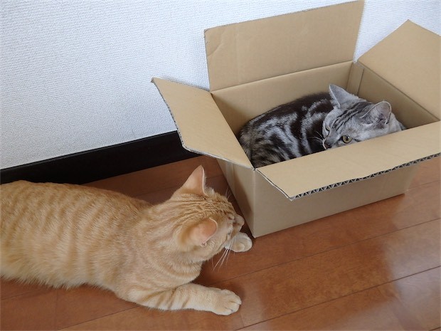 tomdoro_150502-18