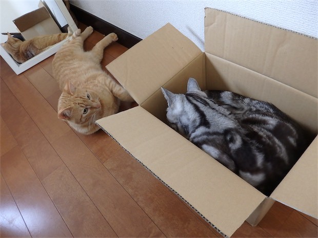 tomdoro_150502-19