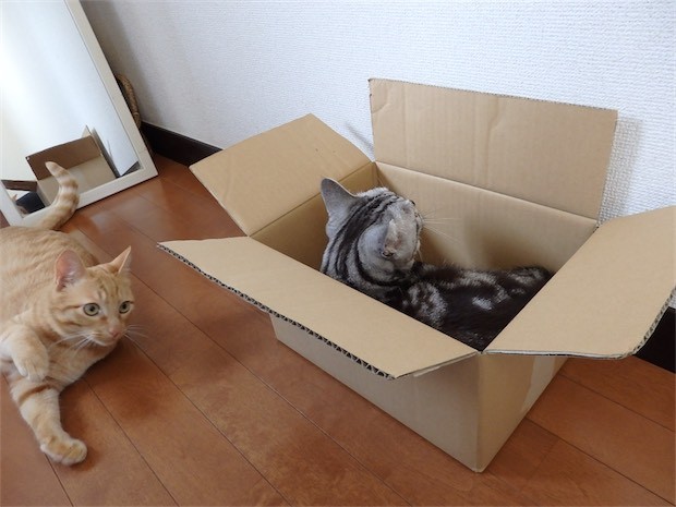 tomdoro_150502-20