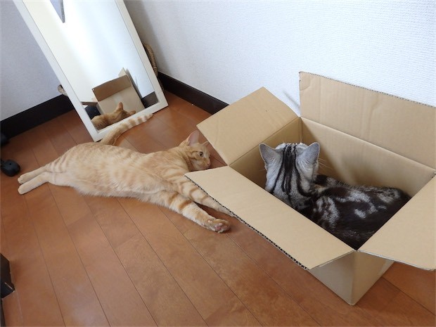 tomdoro_150502-22