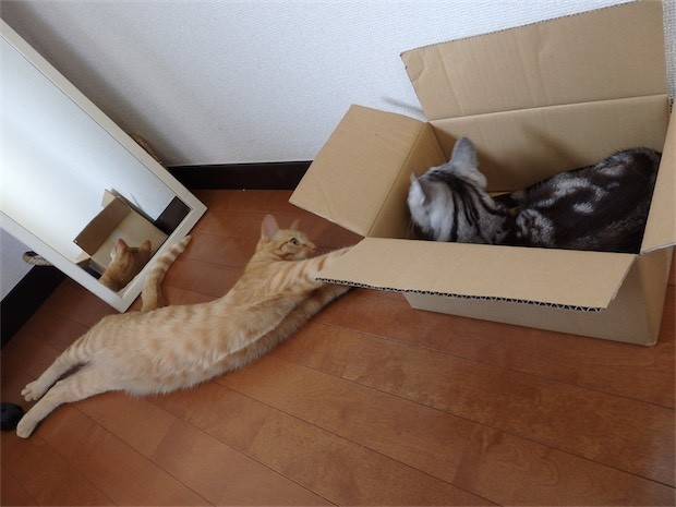 tomdoro_150502-23