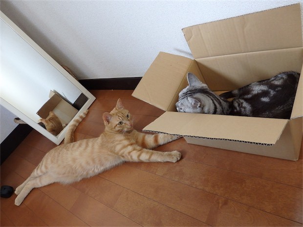 tomdoro_150502-24