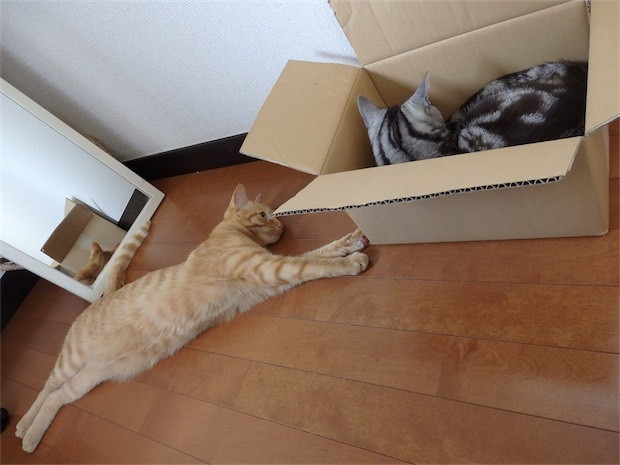 tomdoro_150502-25