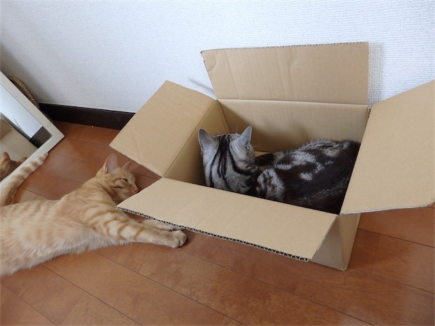 tomdoro_150502-26