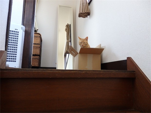 tomdoro_150502-27