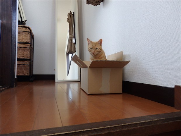 tomdoro_150502-28