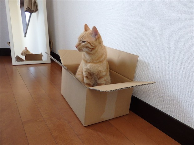 tomdoro_150502-29