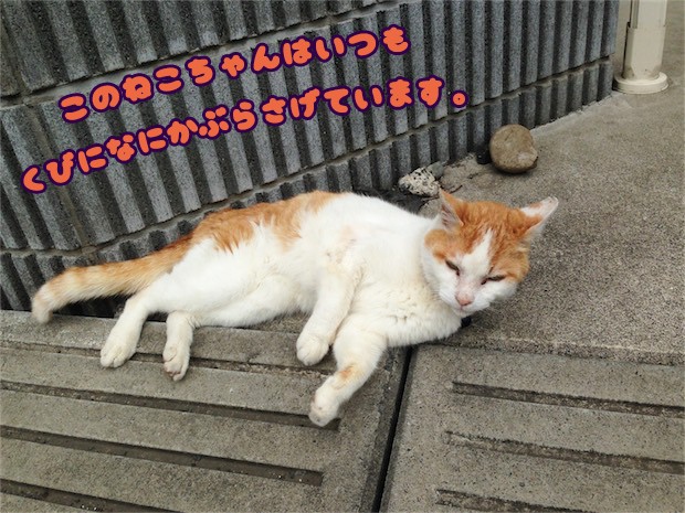 tomdoro_150515-02