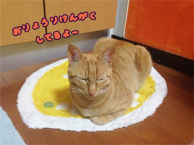 tomdoro_150515-03