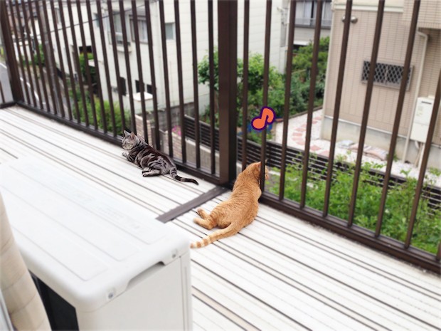 tomdoro_150515-06
