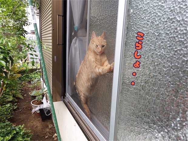 tomdoro_150520-06