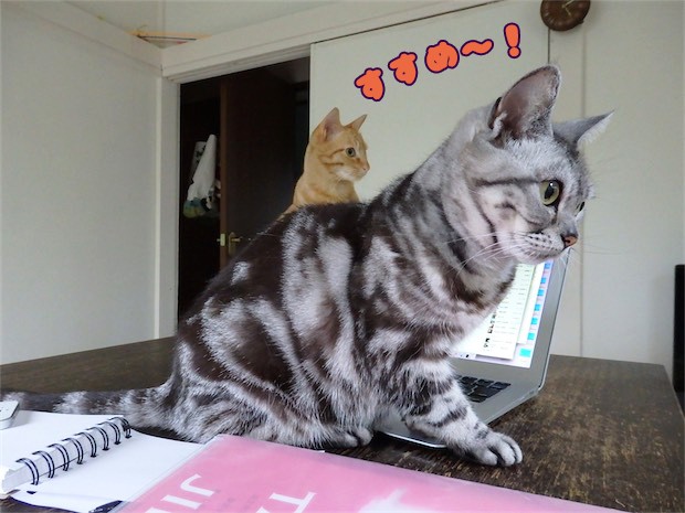 tomdoro_150520-13