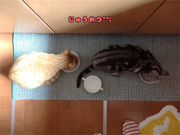 tomdoro_150523-05