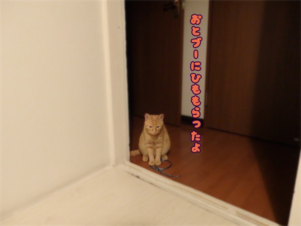tomdoro_150523-07