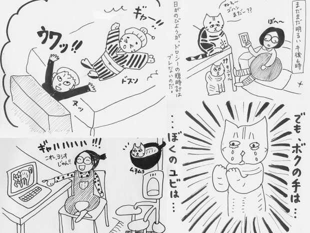 トムドロ　猫ブログ