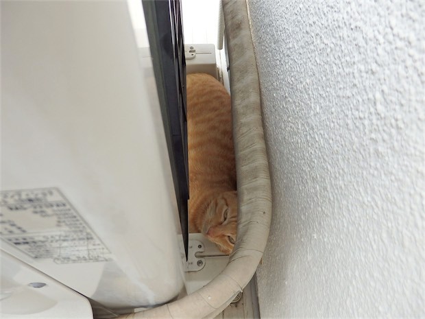 tomdoro_150525-06
