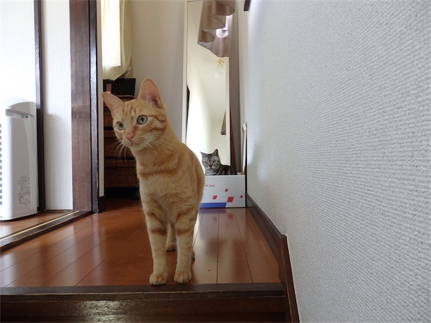 tomdoro_150530-20