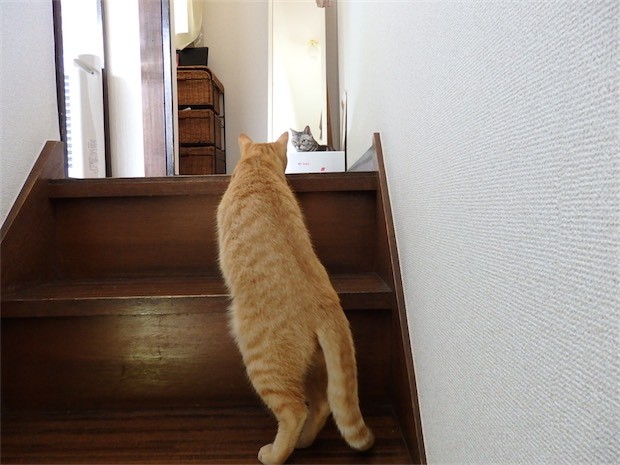 tomdoro_150530-22
