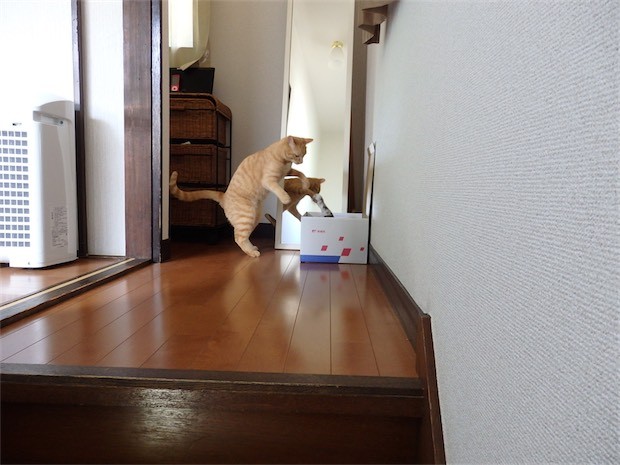 tomdoro_150530-24