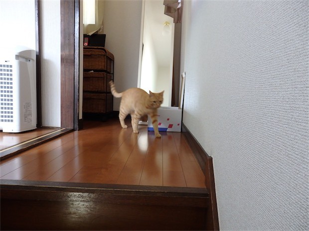 tomdoro_150530-25